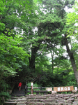 20100814_1.jpg