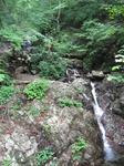20100814_2.jpg
